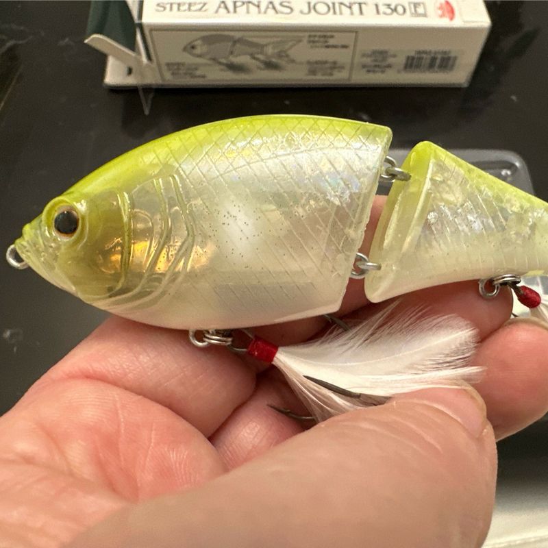 Daiwa Steez Apnas Joint 130F 5.1” Just Under 1oz At 26g. 2 Silicone Tails.