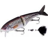 Abu Garcia Beast 175F 6.9” 1.9oz. Matte Real Bass. Swimbait/Glidebait. 3 Changeable Lips, 3 Changeable Tails.