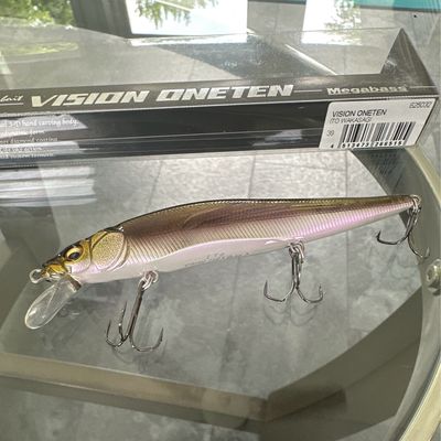 Megabass Vision Oneten Ito Wakasagi 110.5mm 1/2oz Suspend Type 6ft