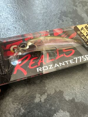 DUO Realis Rozante 77SP Komochi Wakasagi 77mm / 8.4g / Hook#8
