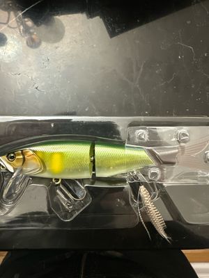 Jackall Maekon Jr SF Seiki Ayu, 150mm (app 6”) 1oz. NIP