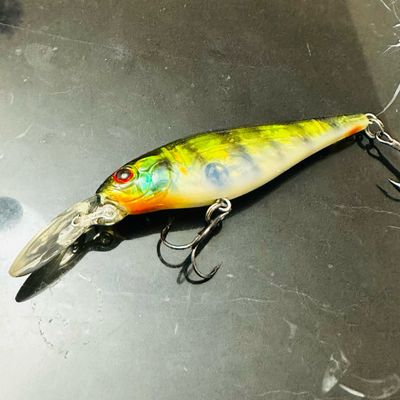 Jerkbaits