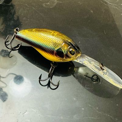 Crankbaits
