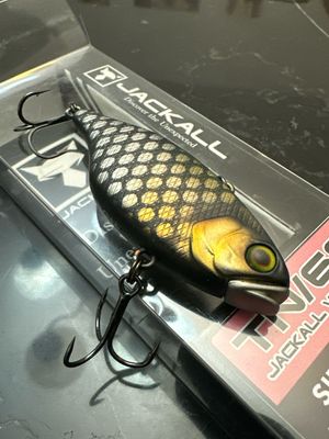 Jackall TN60 Mat Black Carp (VERY RARE Australian Color) 2.4inch 4/9oz Lipless Crankbait