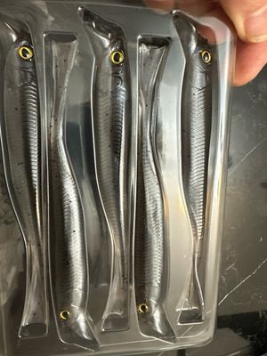 Jackall Drift Fry Mellow 5.2” New Color Numeri Smoke Shad (Slimy Smoke Shad) HOT Tournament Bait!