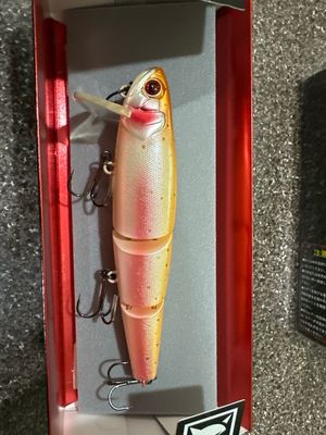 Jackall Mikey 135 Suspending Albino Rainbow. 135mm (5.3”) 1-1/4”. NIB
