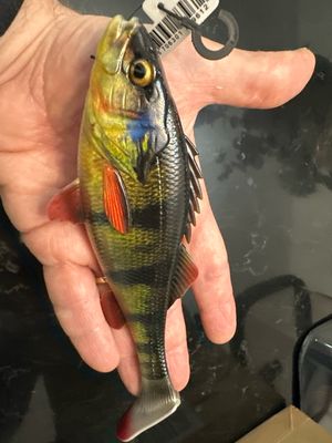Savage Gear BULK Purchased, New No Box. Exact Bait In Pics. 3D Super Realistic Perch. 2.2oz, Approx 6.7”. New With UPC Tag, No Box.
