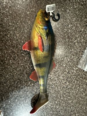 Savage Gear BULK Purchased, New No Box. Exact Bait In Pics. 3D Super Realistic Perch. 2.2oz, Approx 6.7”. New With UPC Tag, No Box.