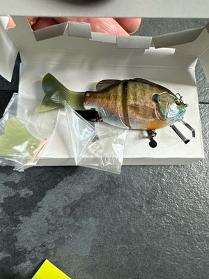 Imakatsu Gillroid Minnie #868 3D Male Gill. 3.6” 16g With Bootstail, 3.2” 14g With Flat Tail.