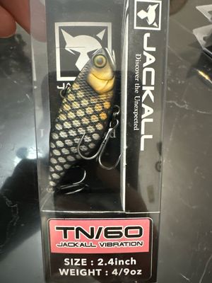 Jackall TN60 Mat Black Carp (VERY RARE Australian Color) 2.4inch 4/9oz Lipless Crankbait