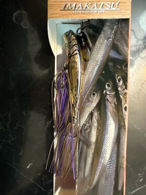 Imakatsu Alive Chatter 70 Fast Sinking #446 Suji Ebi. Very Effective JDM Chatterbait With Hard Minnow. New In Package