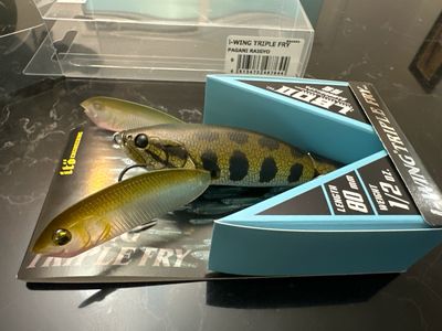 Megabass I-Wing Triple Fry Jointed JDM Topwater. Exact Bait In Pics. NIB