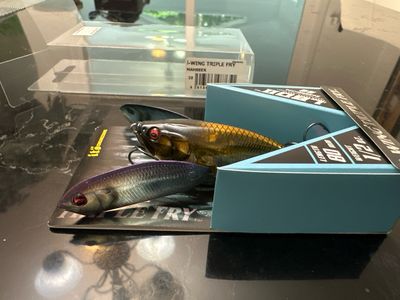 Megabass I-Wing Triple Fry JDM Jointed Topwater. Mahseer. Exact Bait In Pics. Just Over 3” 1/2oz. NIB