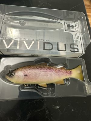 Jackall Vividus RT Rock Trout, NEW BAIT 5.8” 1.8oz Floating, Premium Rigged JDM Swimbait. New In Package. Exact Bait In Pics