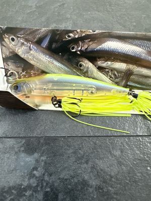 Imakatsu Alive Chatter Hard To Find JDM Chatterbait (Japanese Chatter With Hard Minnow Attached). 90mm 13g Dead Slow Sinking. Exact Bait In Pics. NIB