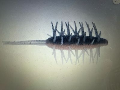 Hideup Coike Shrimp Extra Large #275 Sunset Shrimp. Exact Bait In Pics. NIP