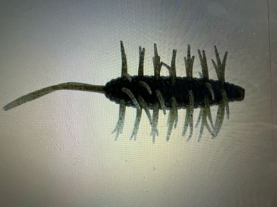 Hideup Coike Shrimp (FECO Spec) Extra Large #142 Light Green Pumpkin/Black Blue F. 15g (just Over 1/2oz) Per Bait. Exact Bait In Pic. NIP