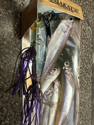 Imakatsu Alive Chatter 70, Hasukko 2.8” 3/8oz, Sinking. GREAT Bait. VERY Hard To Find New In It’s Box. JDM Hard Minnow With Chatter-blade On Top. Exact Bait In Pics.