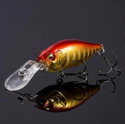 Crankbaits