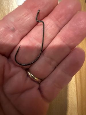 Gamakatsu Hooks 2/0 Bulk Pack 25pcs/pack
