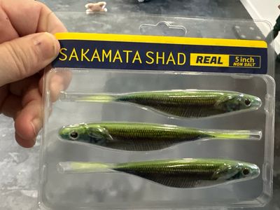 Deps Sakamata Shad REAL 5”. #04 Chart Back Wakasagi. These Are The Real Print Version. Exact Baits In Pics. NIP