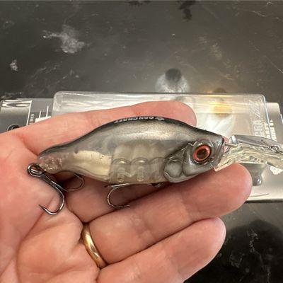 Gan Craft Bacra 150 (1.5meter) RARE JDM Crankbait, Deadfish 2.4” 1/2oz NIB