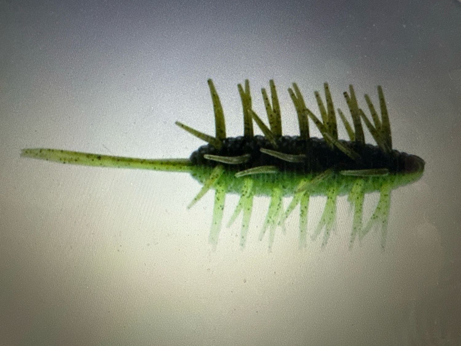 Hideup Coike Shrimp #271 Green Pumpkin/Chart Black F, 5 Baits Per Pack. Exact Baits In Pics. NIP