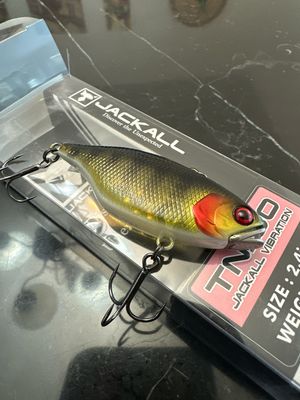 Jackall TN60 Ghost Yellow/ Black Stripes (VERY RARE Color) 2.4inch 4/9oz Lipless Rattle Crankbait. Exact Bait In Pics, NIP