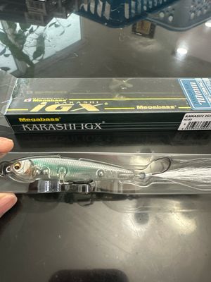 Megabass Karashi IGX 70S #5 Hiuo