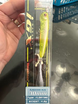 Megabass Karashi IGX 70F #8 Ito-Kinari