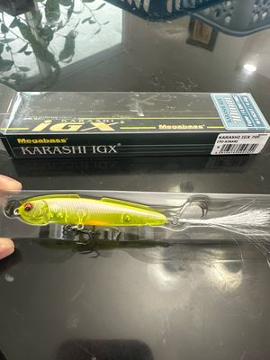 Megabass Karashi IGX 70F #8 Ito-Kinari