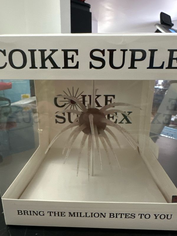 HideUp Coike Suplex #242 Ebi Dappi