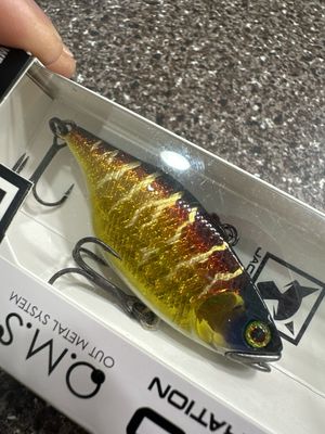 Jackall TN60 HL Red Gold Lipless Crankbait New Color