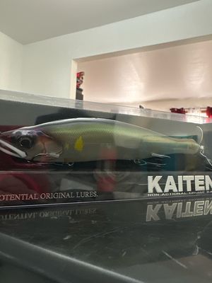 Gan Craft Kaiten 178 F #01 Evil Catfish Floating Type