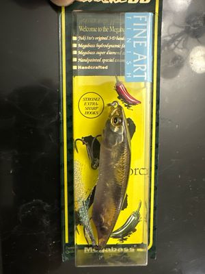 Megabass Karashi 80. New Megabass 3.2” 7/16oz Twitch Bait. FA (Fine Art) Ghost Wakasagi.