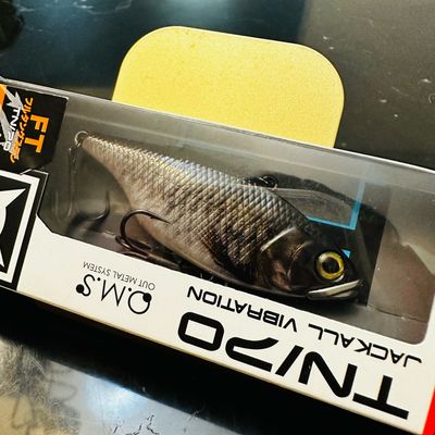 Jackall TN70 Full Tungsten RT School Kobuna Lipless Crankbait