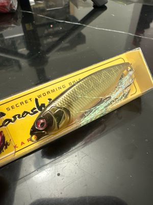 Megabass Karashi #3 MG Tora Kinkuro 59mm | 3/16oz | Slow Sinking