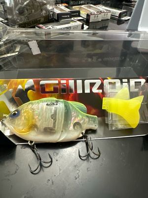 Imakatsu Gillroid Jr. #878 Strong Chart ( Crystal Japanese Abalone ) 13.5cm | 1.8oz