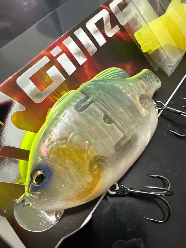 Imakatsu Gillroid Jr. #878 Strong Chart ( Crystal Japanese Abalone ) 13.5cm | 1.8oz
