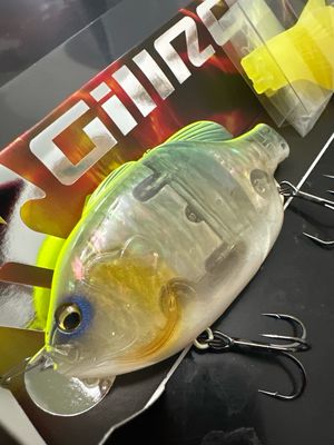 Imakatsu Gillroid Jr. #878 Strong Chart ( Crystal Japanese Abalone ) 13.5cm | 1.8oz