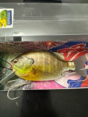 Imakatsu Kominami Gilluchiwa 3D Realism #602 Chart Mesugill 120mm | 1.7oz