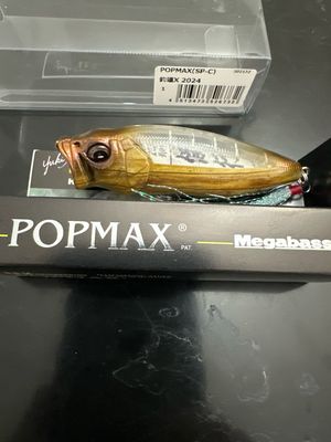 Megabass PopMax (SP-C) 2024 Limited Edition Exact Bait In Pics. New In Box. Designed With One Lazy Eye, 1 Black Eye.