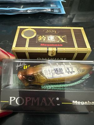 Megabass PopMax (SP-C) 2024 Limited Edition Exact Bait In Pics. New In Box. Designed With One Lazy Eye, 1 Black Eye.