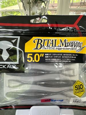 Jackall Bital Minnow 5.0" Glitter Wakasagi 5baits/pack