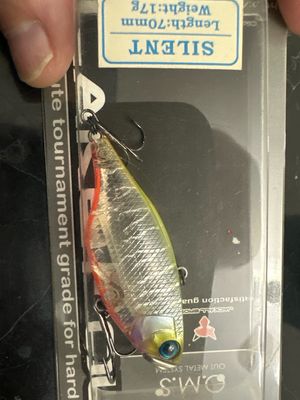 Jackall Lake Police TN70 Silent Very RARE Clear Chart Tiger. NIP