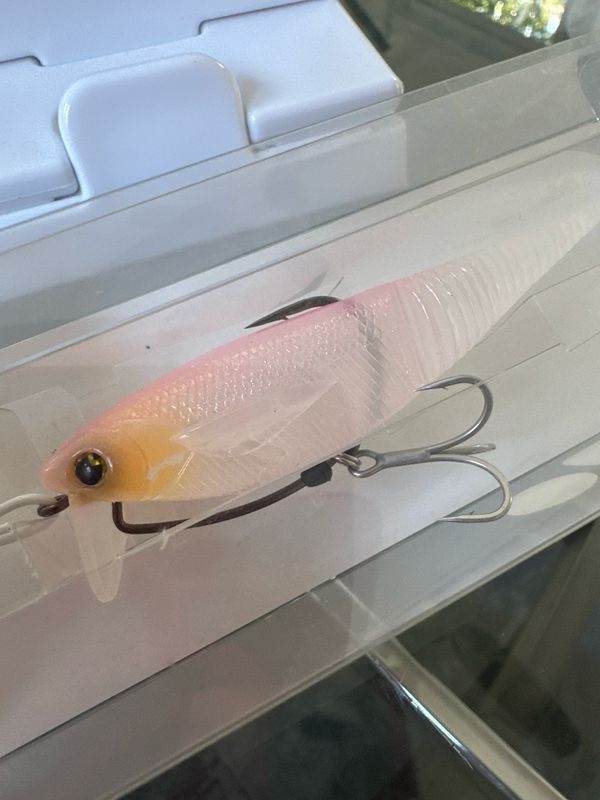 Madotachi Soft Hanitas 4 Hasegawa Pink Ver 2. Exact Bait In Pics. NIP