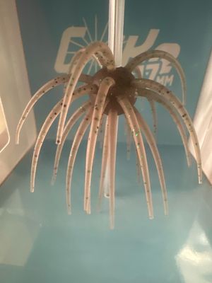 Hideup Coike 17mm #243 Tamaranbi Dark Shrimp. JDM Soft Elastomer Urchin Bait. NIP
