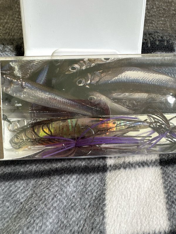 Imakatsu Alive Chatter 90 Fast Sinking #446 Suji Ebi 90mm | 16g