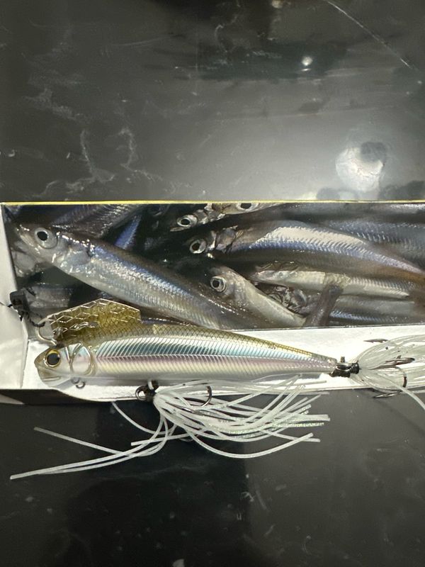 Imakatsu Alive Chatter 90 Dead Slow Sinking. #202 Takataki Wakasagi. Hard To Find JDM Chatterbait With Hard Minnow. Gorgeous And Effective Baits. NIB