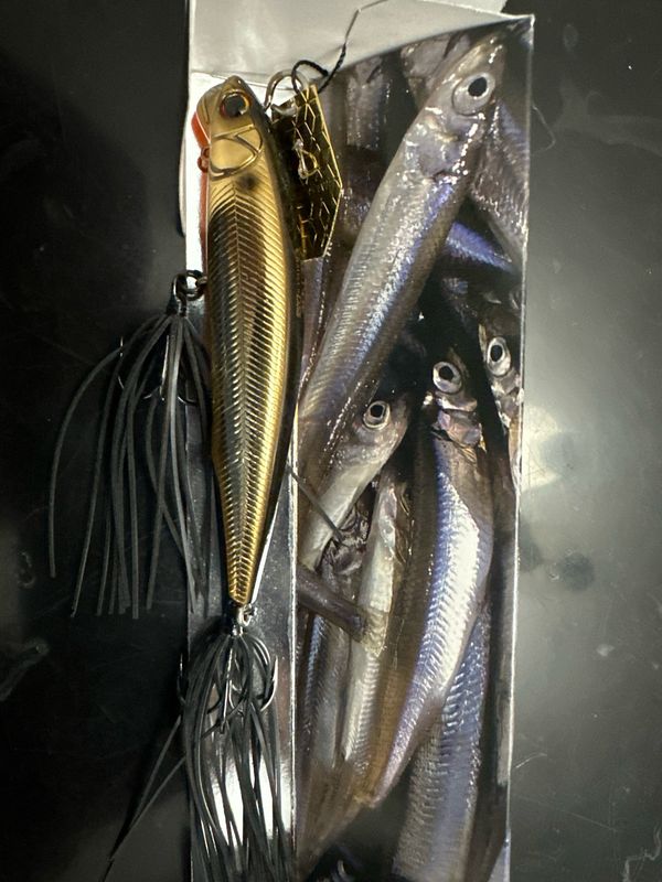 Imakatsu Alive Chatter 90 Dead Slow Sinking #111 Stain Gold